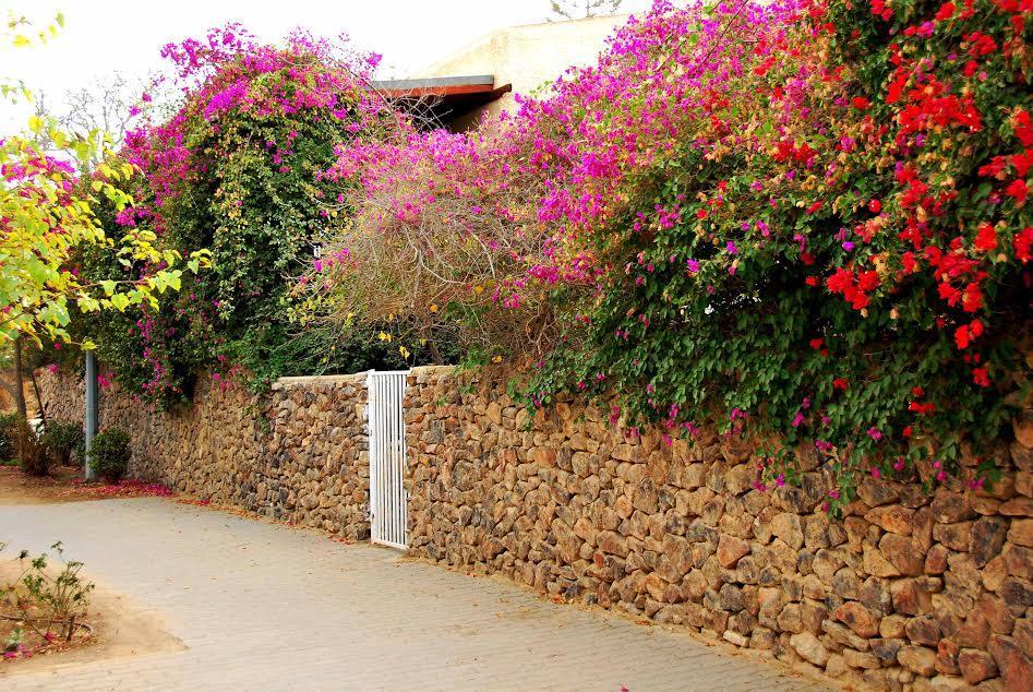 Lesanel - Guest House Arad Exterior photo